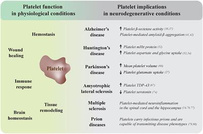platelets parkinson foe frontiers immunology platelet frontiersin disorders